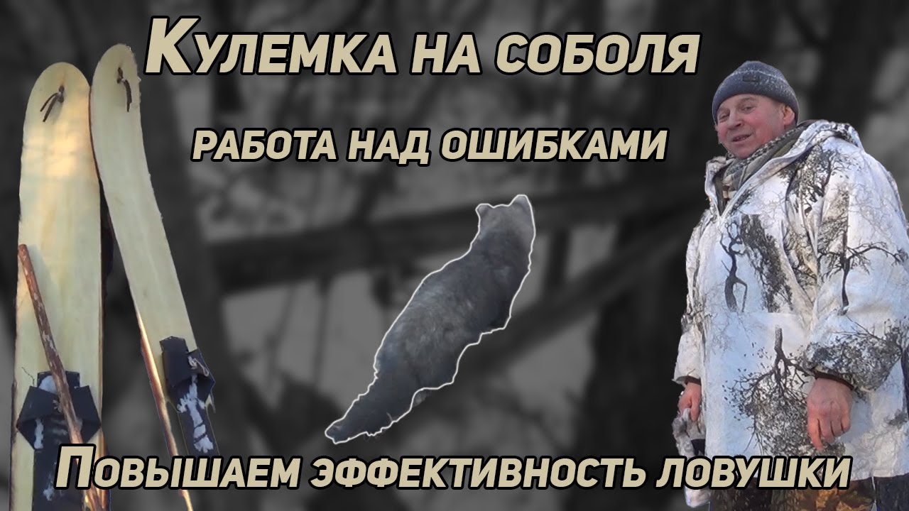 Продвинутая капканная охота: как повысить результативность ловушки в суровой тайге