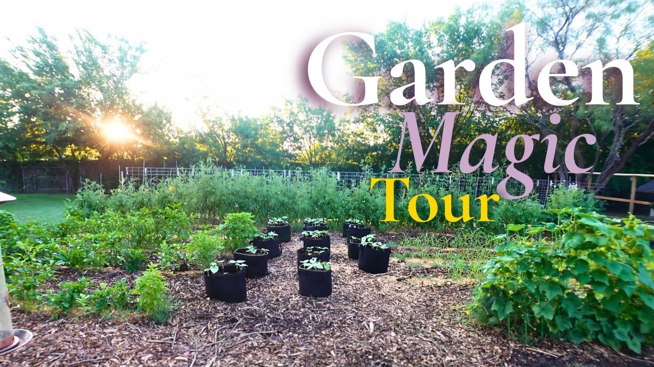 June Garden Tour 2025 | Companion Planting in Full Bloom