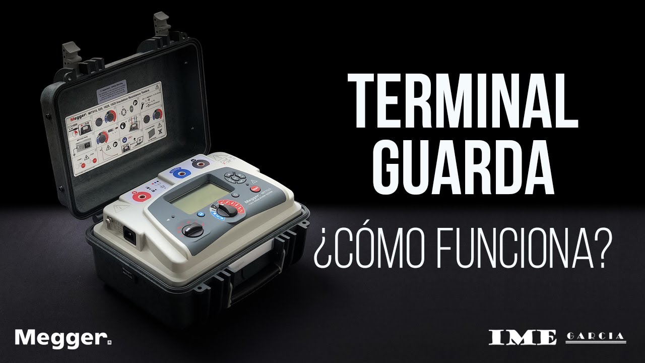 ¿Cuál es la función de la Terminal Guarda?