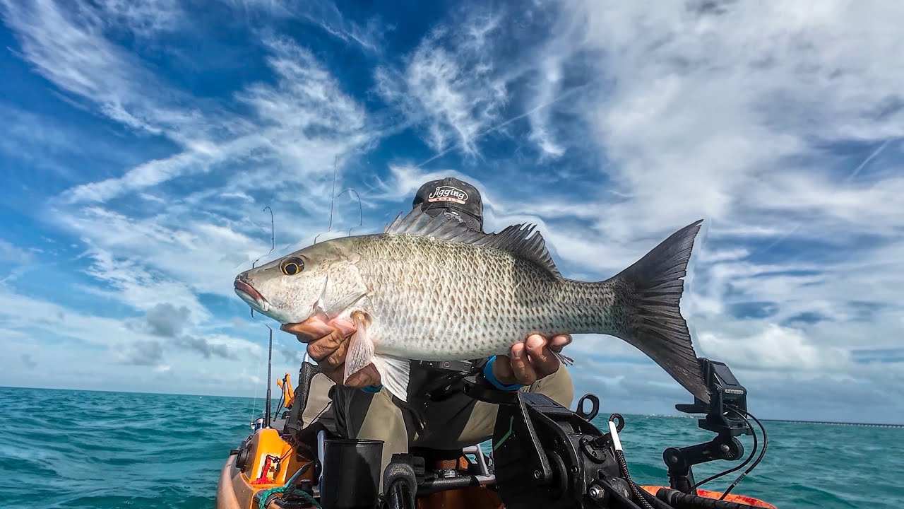 Florida Keys Fishing | Big N' Tasty (No Bait Needed!)