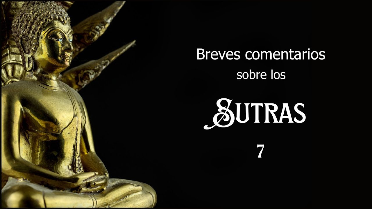 7 Breve comentario sobre los Sutras