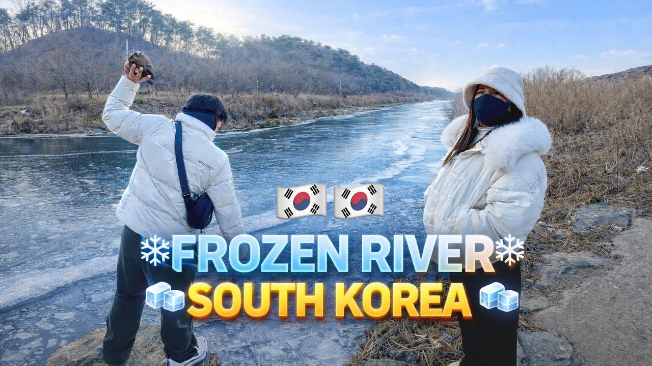 Frozen River South Korea 😱 | Winter Vlog 🇰🇷🇳🇵