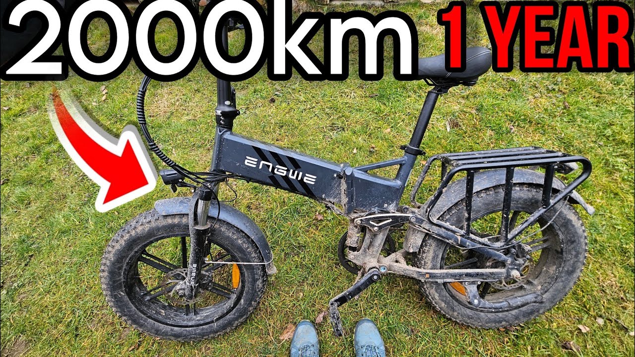 What happens to the cheap Ebike after 2000km and 1 year of heavy usage?