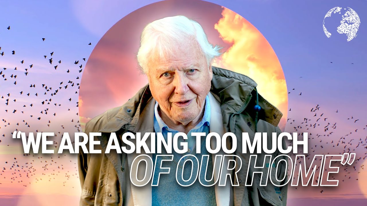 Sir David Attenborough Shares Words of Wisdom on Protecting Our Home 🌎 | @EarthshotPrize