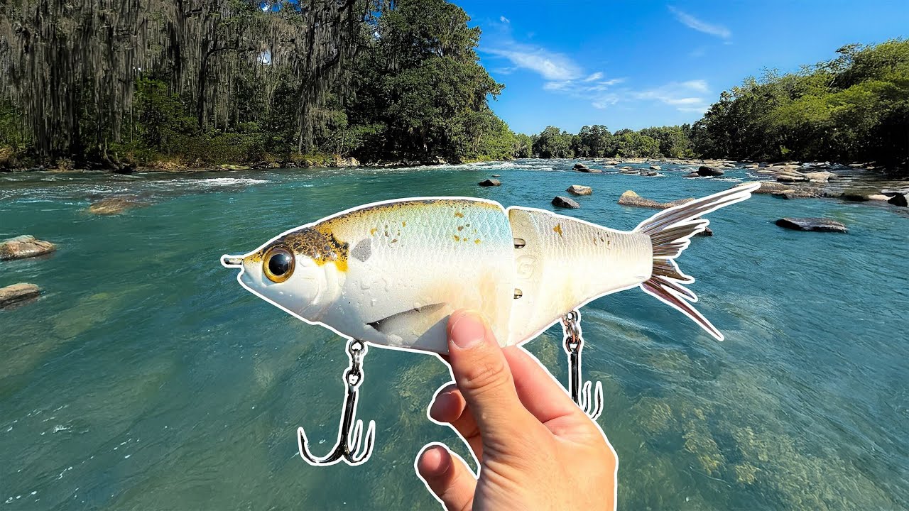 GIANT Fish Live in This SC River (Glide Bait Fishing)