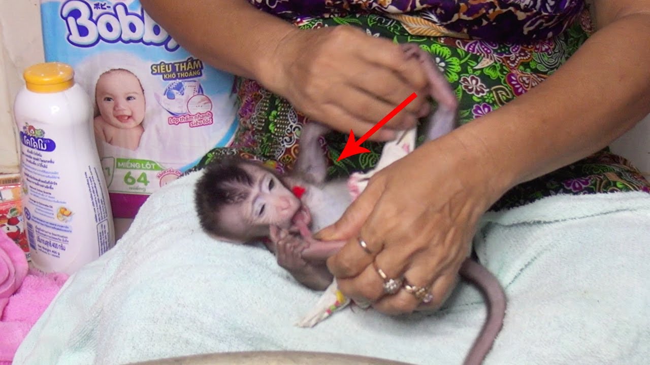 Monkey Baby Poy SO Cute Sleeping Wait MaMa Change Diaper