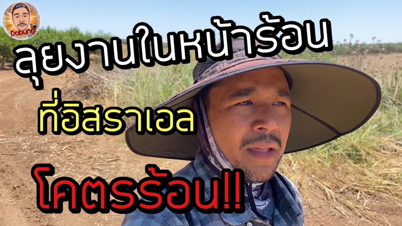 ร้อนมาก!! ทำงานในช่วงฤดูร้อน ที่อิสราเอล | วัยรุ่นอิสราเอล EP. 39 | @dobungyt