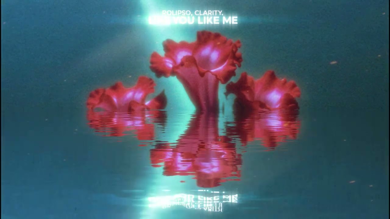Rolipso & clarity. - Like You Like Me