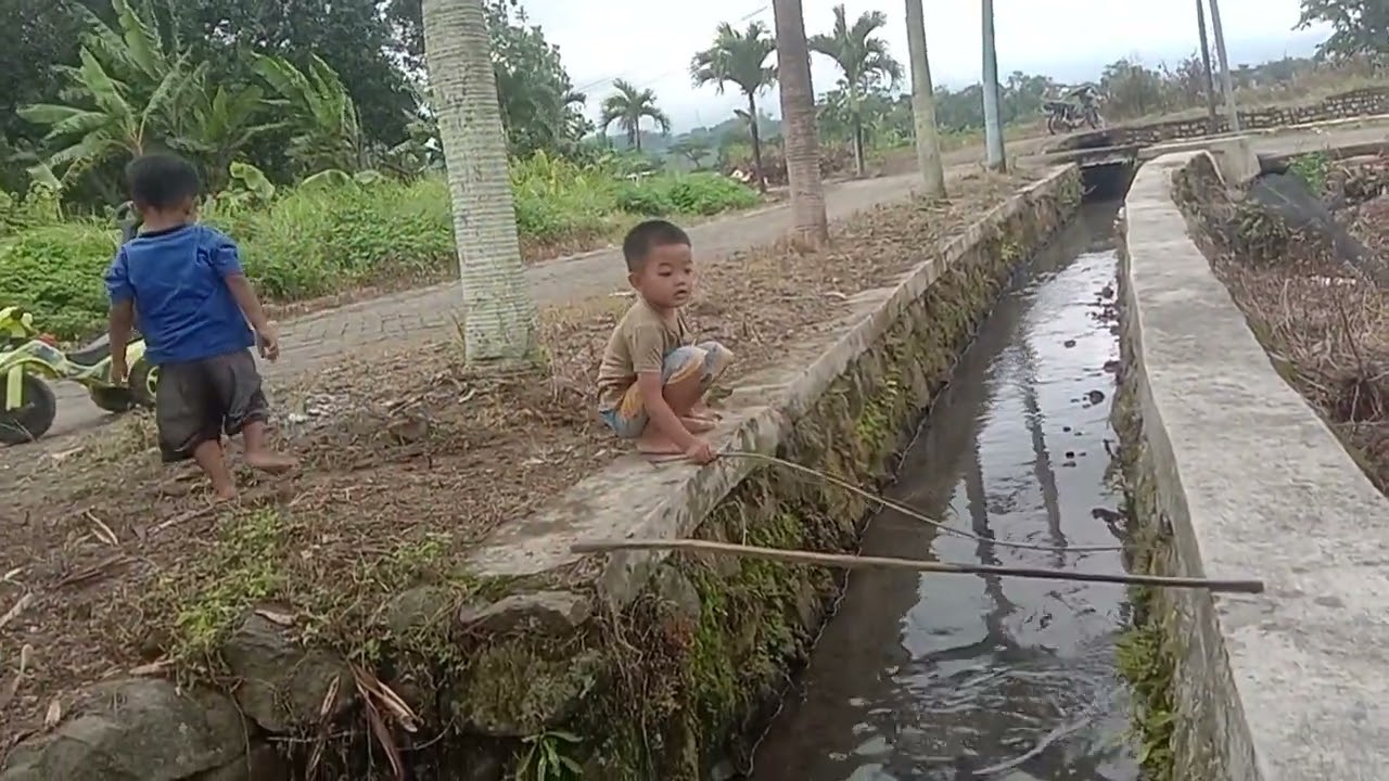 MANCING BARENG TEMAN #anakdesa #maindikali #youtube #mojokerto #mancing 