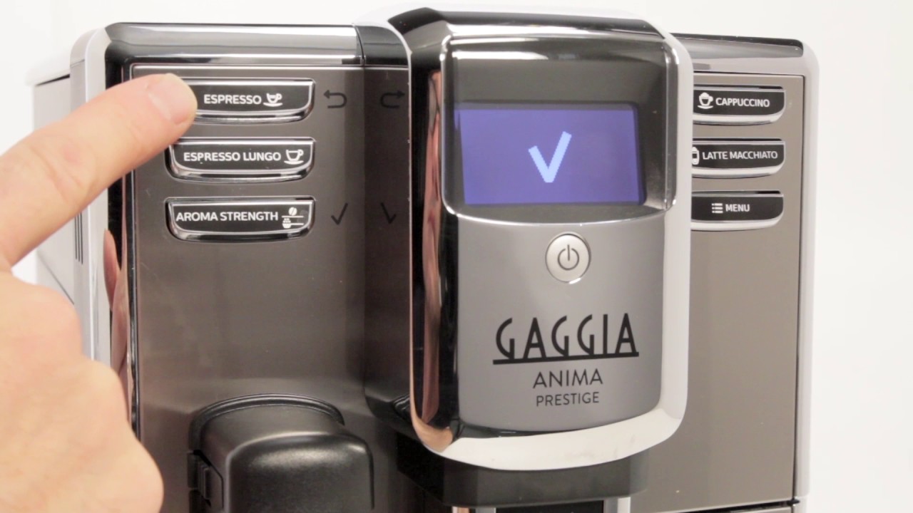 Gaggia Anima Prestige Quick Start Guide