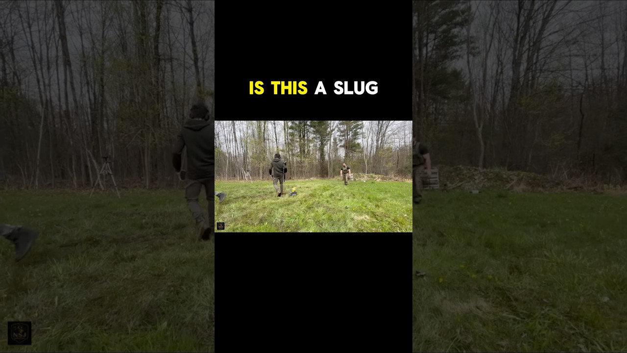 Shotgun Slug vs $50 Body Armor 