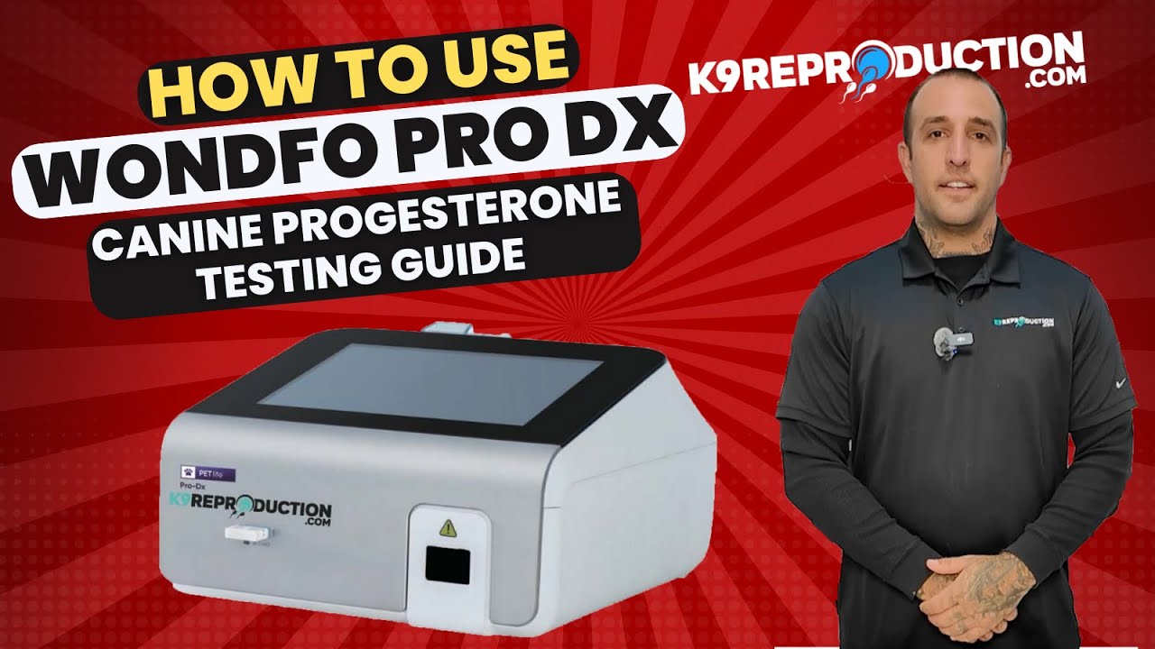 Master the Wondfo Pro DX: Complete Guide to Progesterone Testing in Dogs & Breeding Timing!