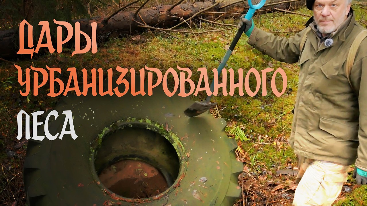 БелвторРесурс в заповедных  и дремучих , темных муромских лесах #природа