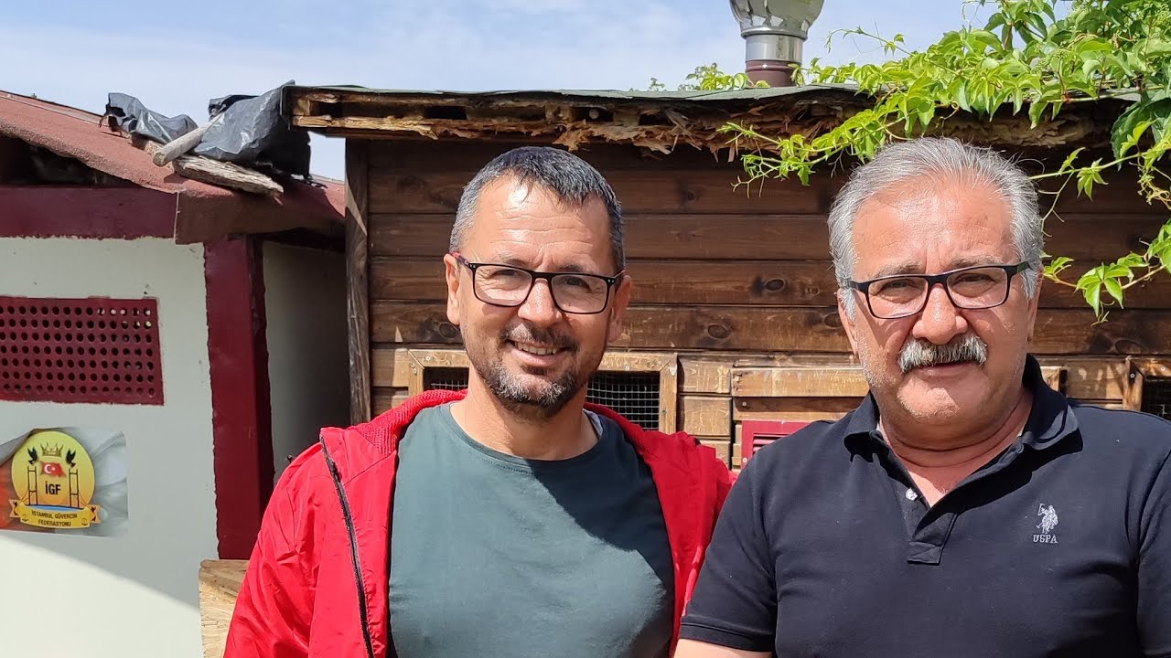 Aygün Tekin & Murat Canlı Kral Kupasına Kuş Puanlatıyor