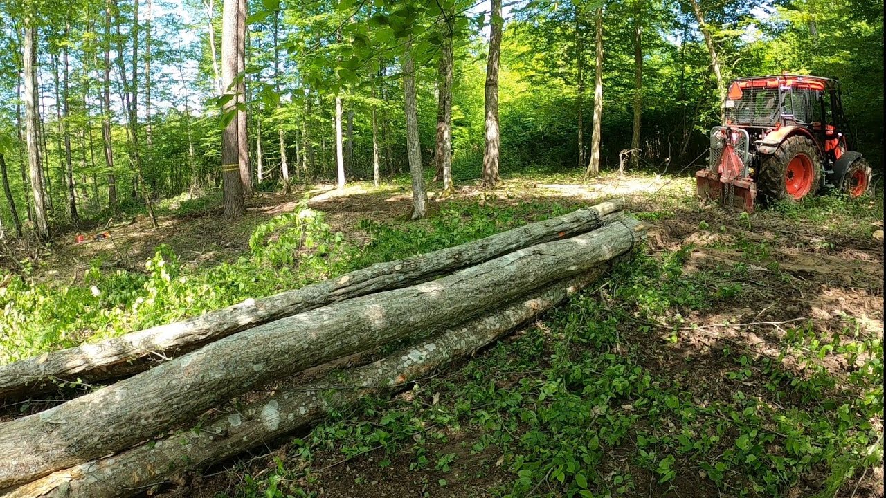 Лесозаготовка в том месте, где мы остановились ранее, Stihl ms 261C-M, Zetor, Amles, Работа в лесу