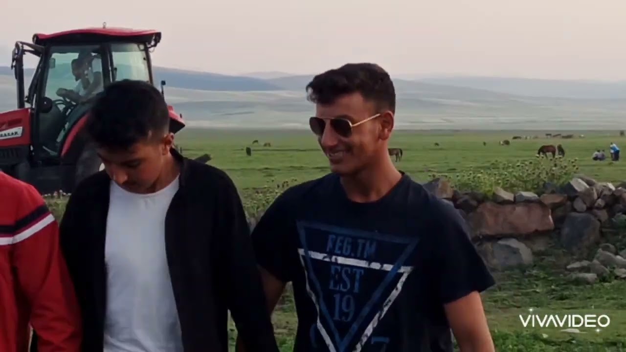 Arpasen koyu