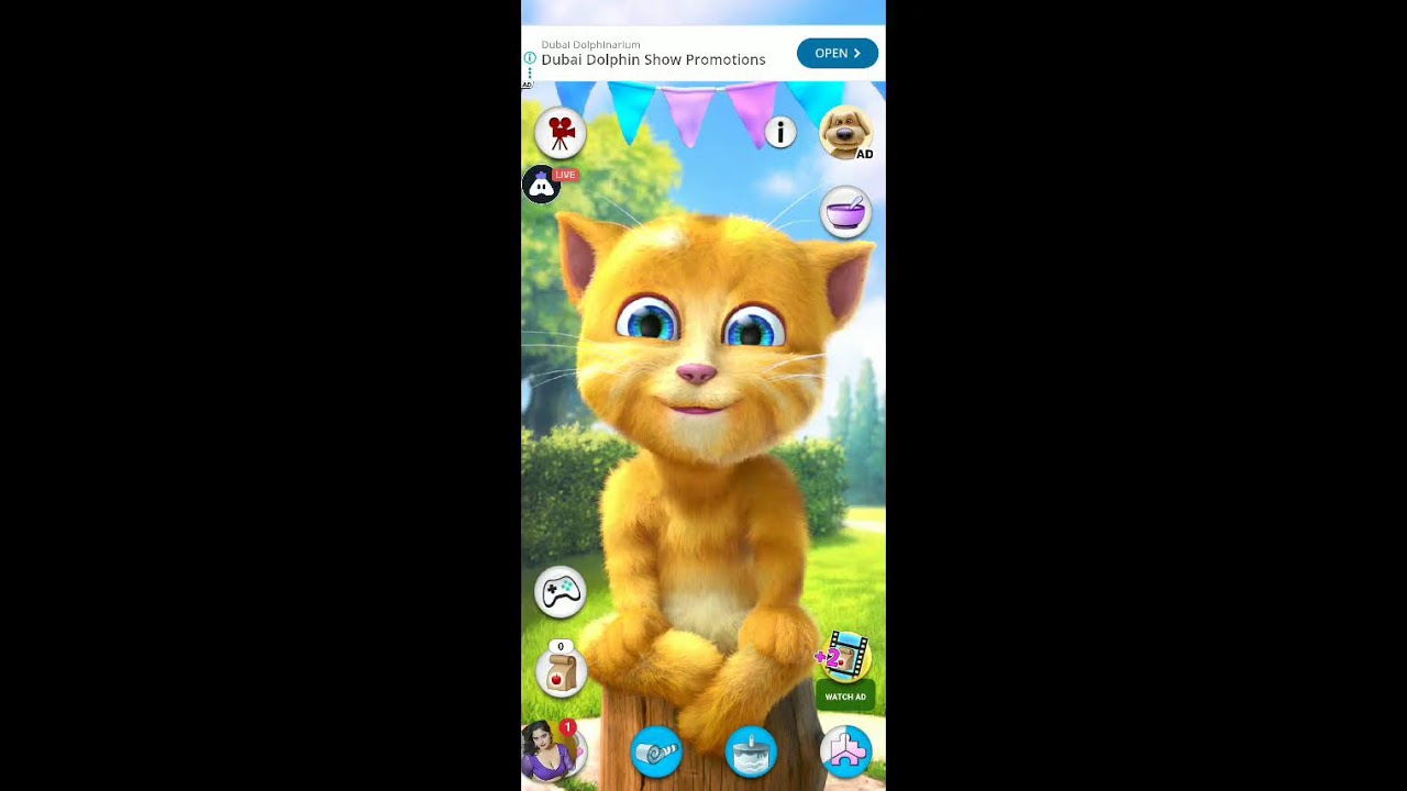 Talking Tom So Bdiya 🐱🐱🐱