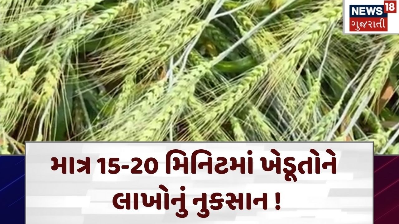 Gir Somnath Farmers | માત્ર 15-20 મિનિટમાં ખેડૂતોને લાખોનું નુકસાન ! | Unseasonal Rain | Loss | N18V