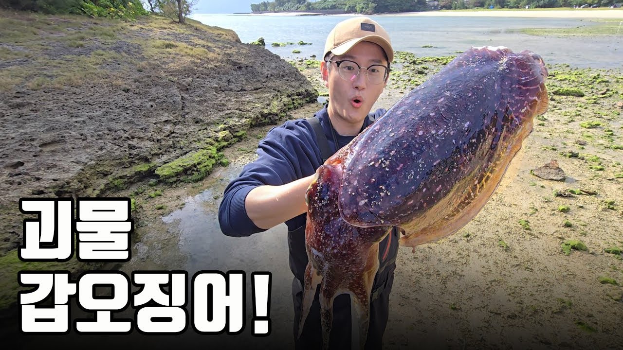 무인도 갔다가 미친 크기의 괴물 갑오징어를 만났습니다 ㄷㄷ