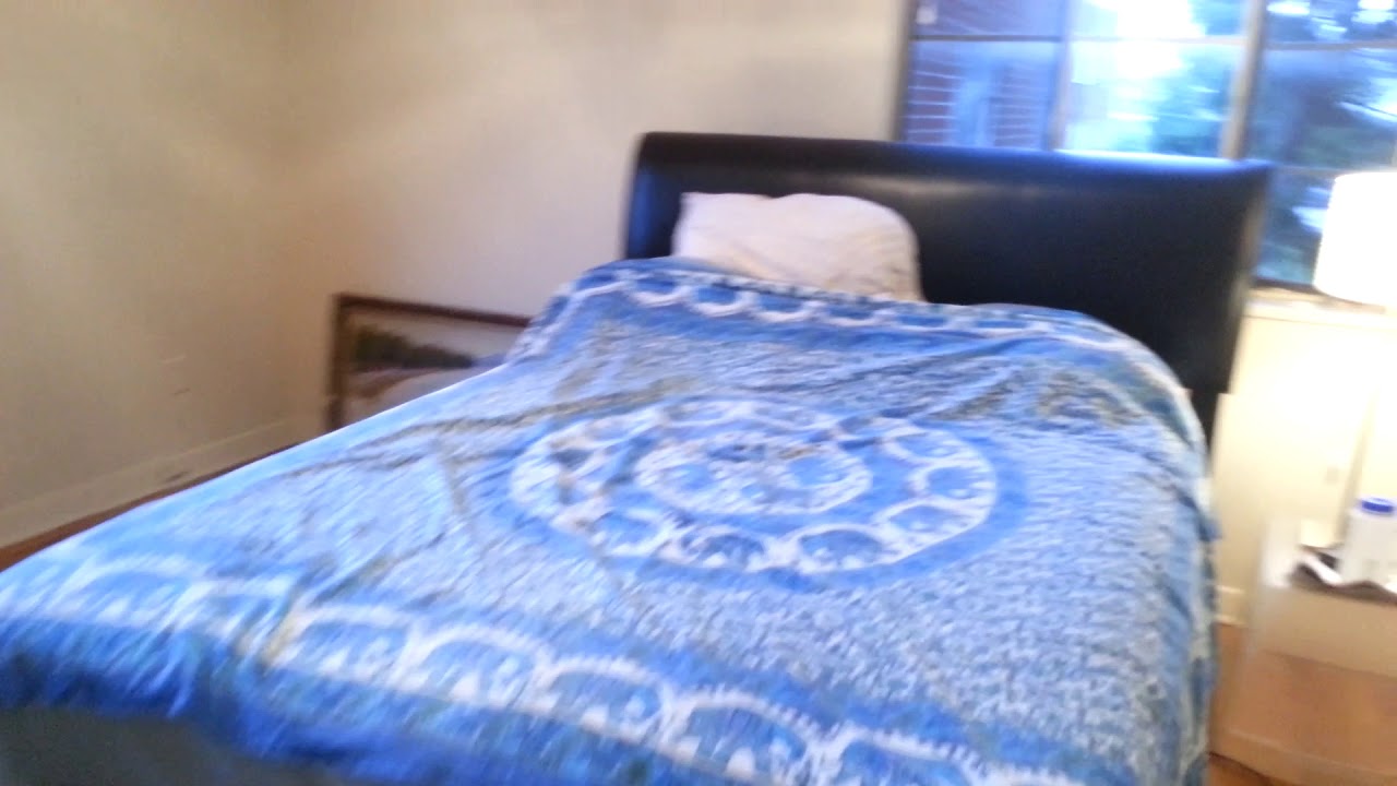 1123 N. Randolph #4 Arlington VA, 22201