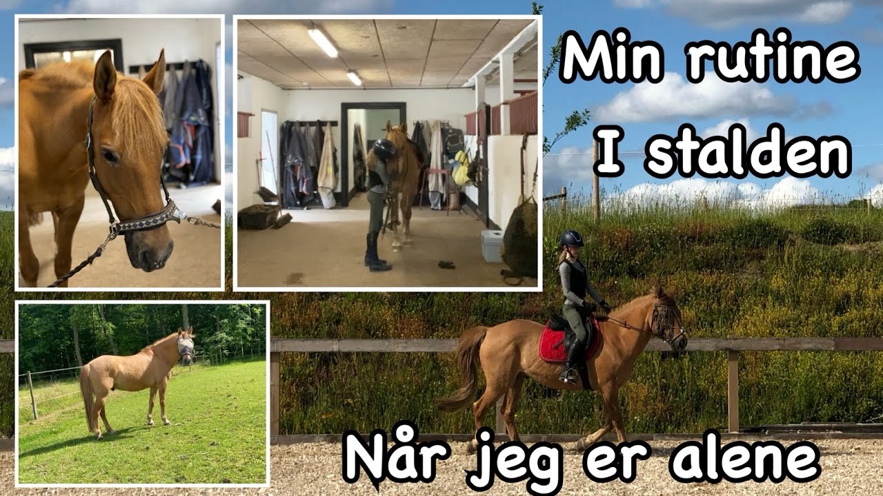 Min rutine i stalden når jeg er alene