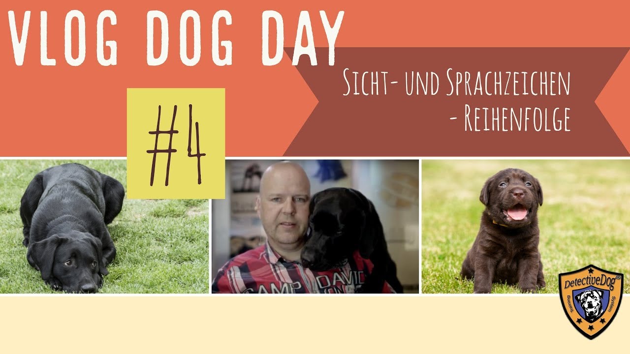 Richtige Reihenfolge von Sicht und Sprachzeichen / Hundetraining #4 Vlog Dog Day r
