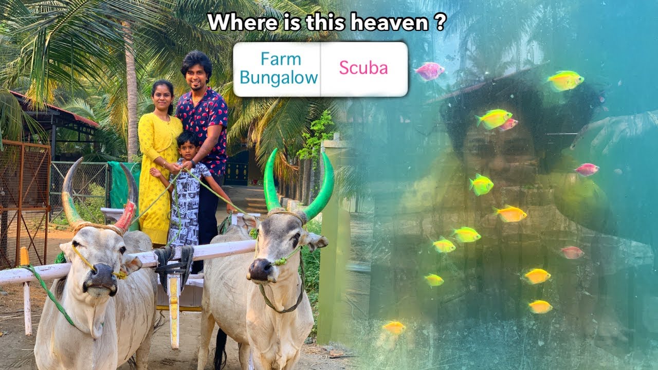 Hidden heaven in Erode | Royal castle farm house | Best farm resort in Erode India, Scuba, Bullcart