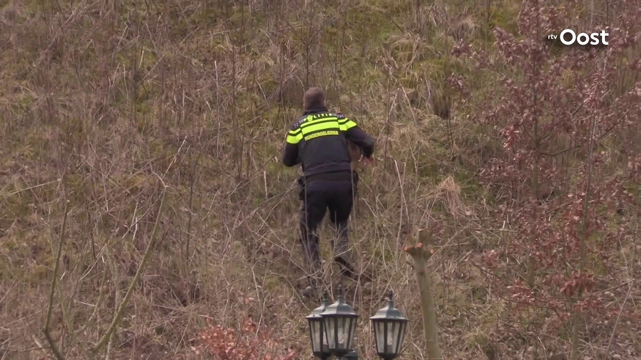 Politie zoekt met honden en helikopter naar drie verdachten in De Lutte