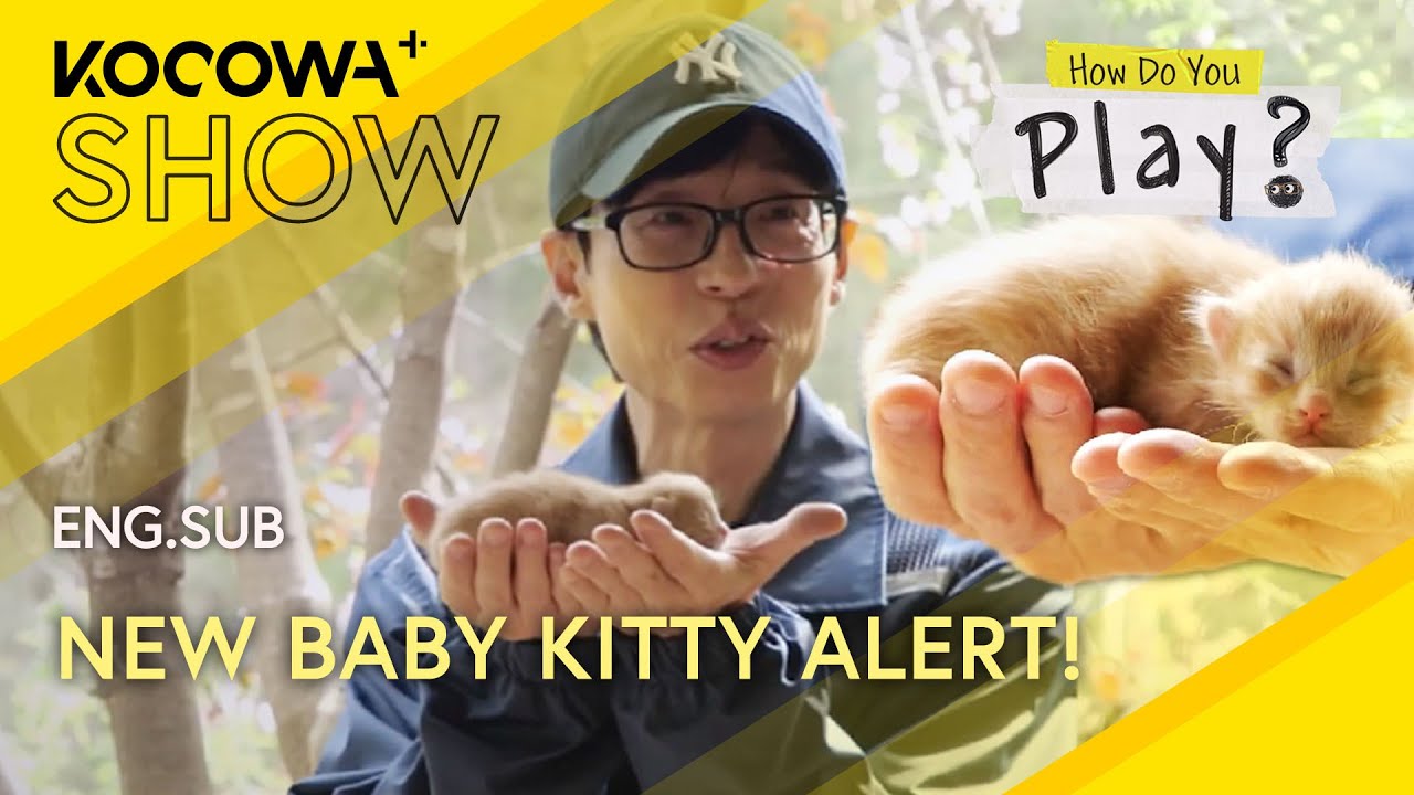 Yu Jae Seok and Haha name a baby kitten😻🩷| How Do You Play EP279 | KOCOWA+
