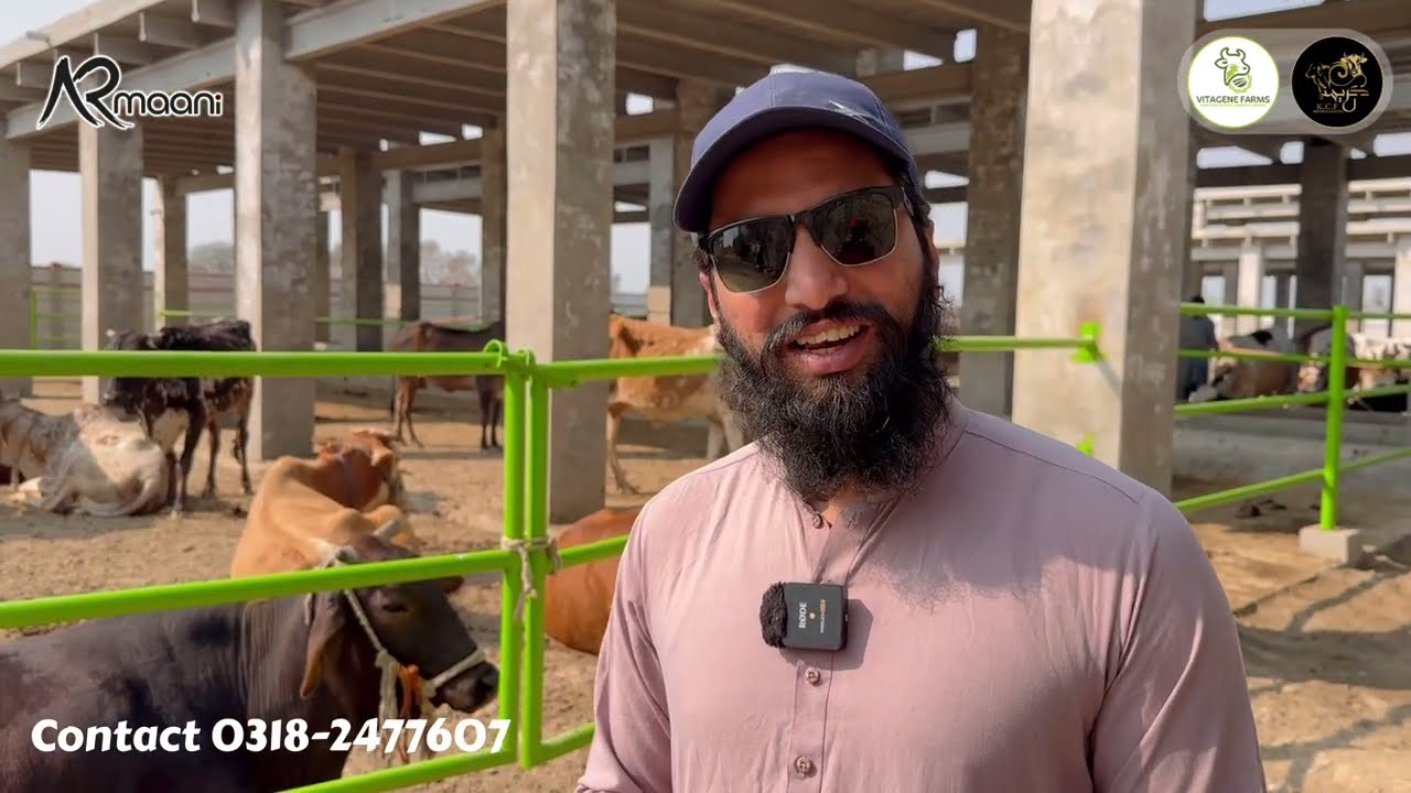 Alhamdulillah Once Again Jackpot Available 🔥 | Vitagene Farms ❤️ | AR Maani