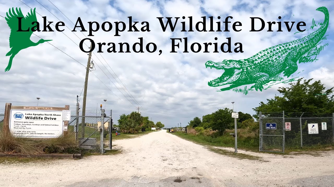 Lake Apopka Wildlife Drive, Orando, Florida