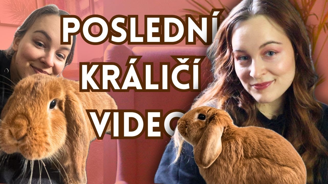 Vše co ohledně králíčků musíte vědět a kde nakoupit kvalitní věci pro ně! (Poslední králičí video)