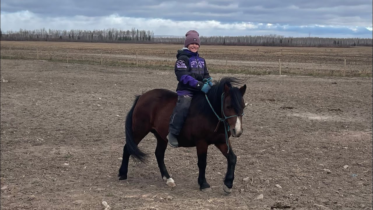 Mounting my horse fails😅 #ponyride #cowgirl #equestrianjourney #equestrian #farmlife #horsefun