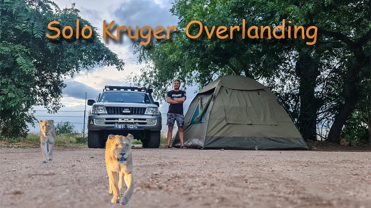 Solo Kruger Overlanding In My Old 4x4, Lions, Leopards And Dusty Roads At Satara