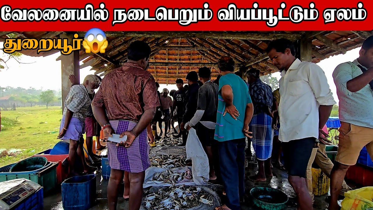 துறையூரில் மீன்களை அள்ளும் வியாபாரிகள், கொள்ளை விலையில் மீன்கள்😱Fish traders in Thurayur sell fish 