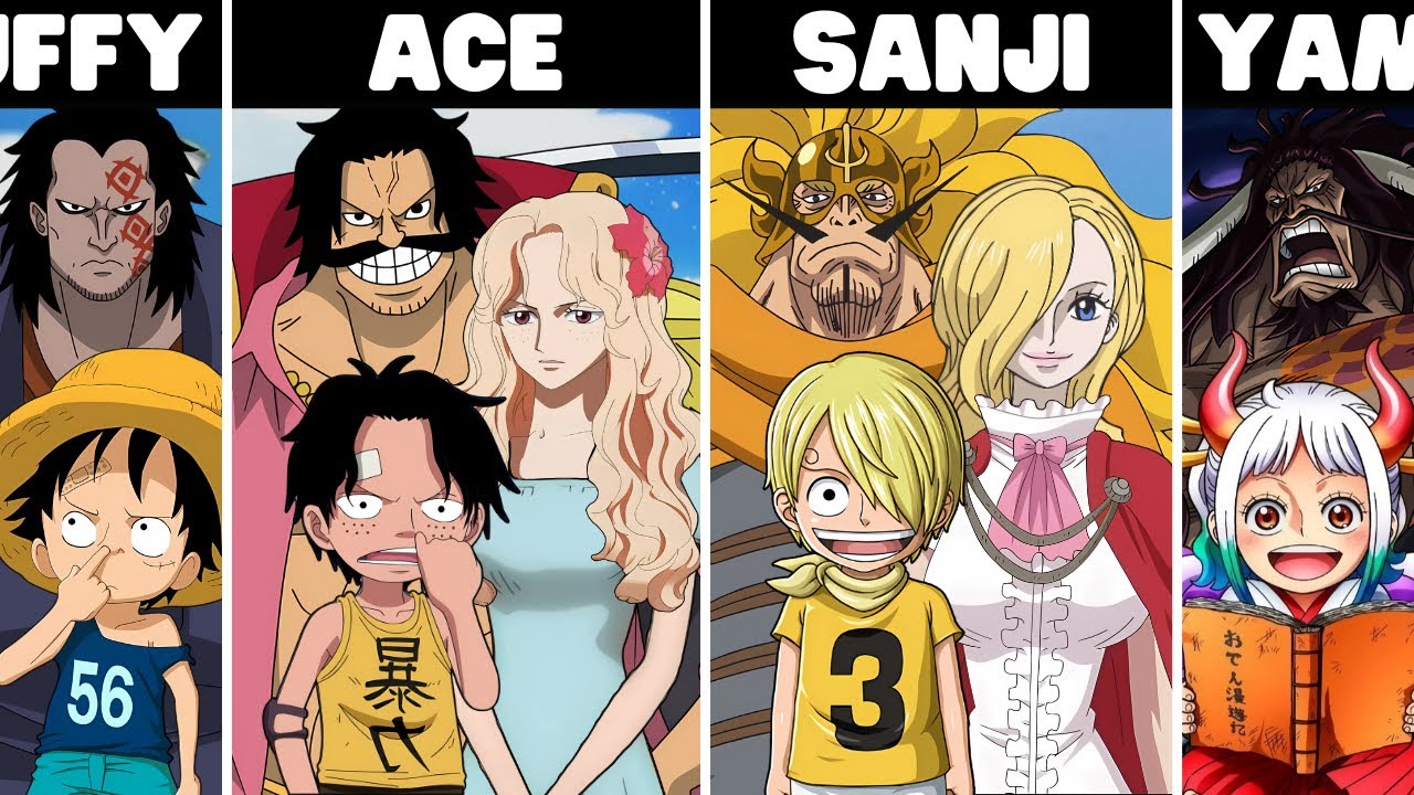 All One Piece Characters And Their Parents