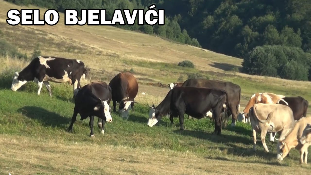 Otac mi je imao mozdani prije 22 godine, majka se brine sve ove godine, zasluzio je sve u zivotu!
