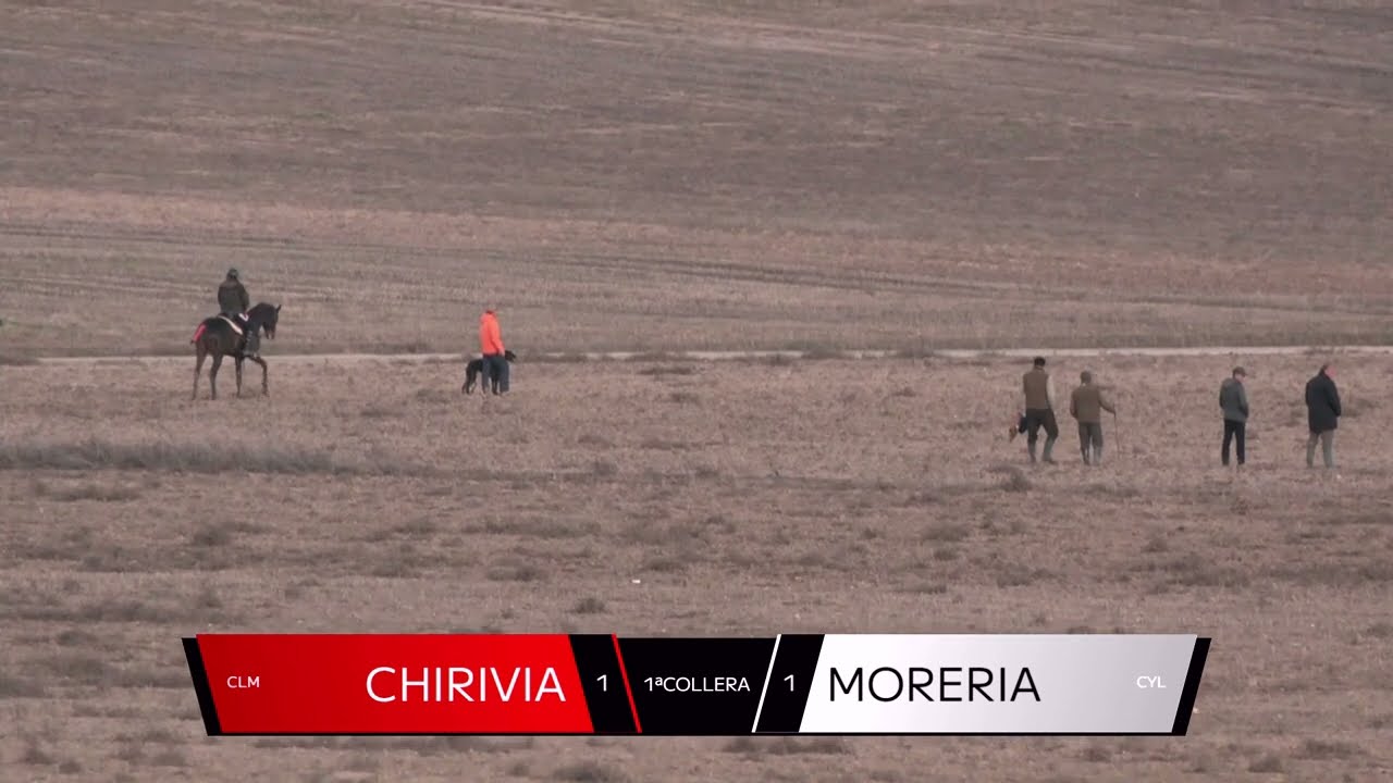 Los Mejores momentos Finales LXXXVII CTO DE ESPAÑA DE GALGOS EN CAMPO