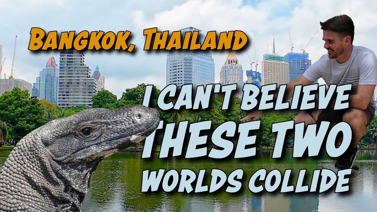 The world's biggest lizards are located in Bangkok Thailand