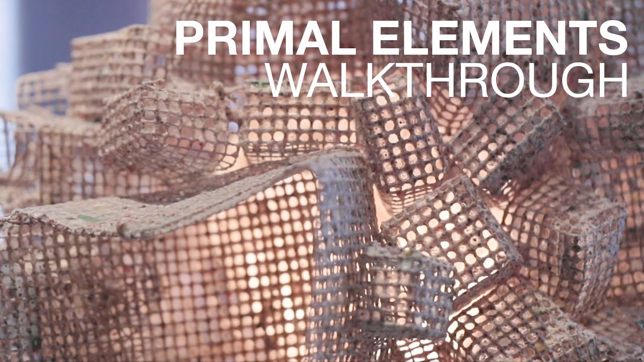 Primal Elements | New York