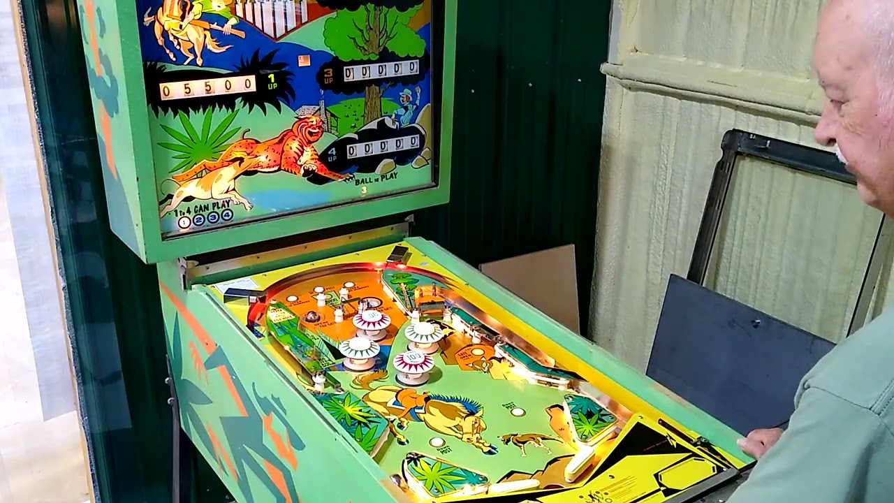 Big Valley pinball