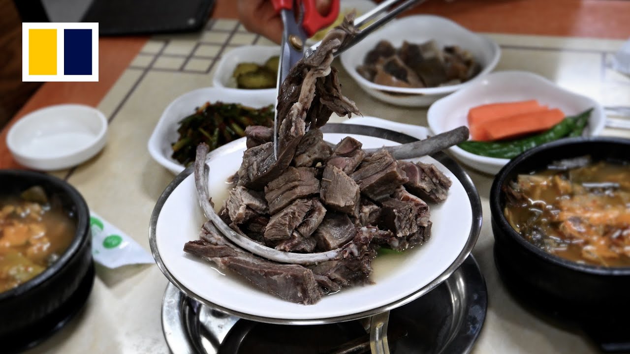 Dog meat restaurants in South Korea to close