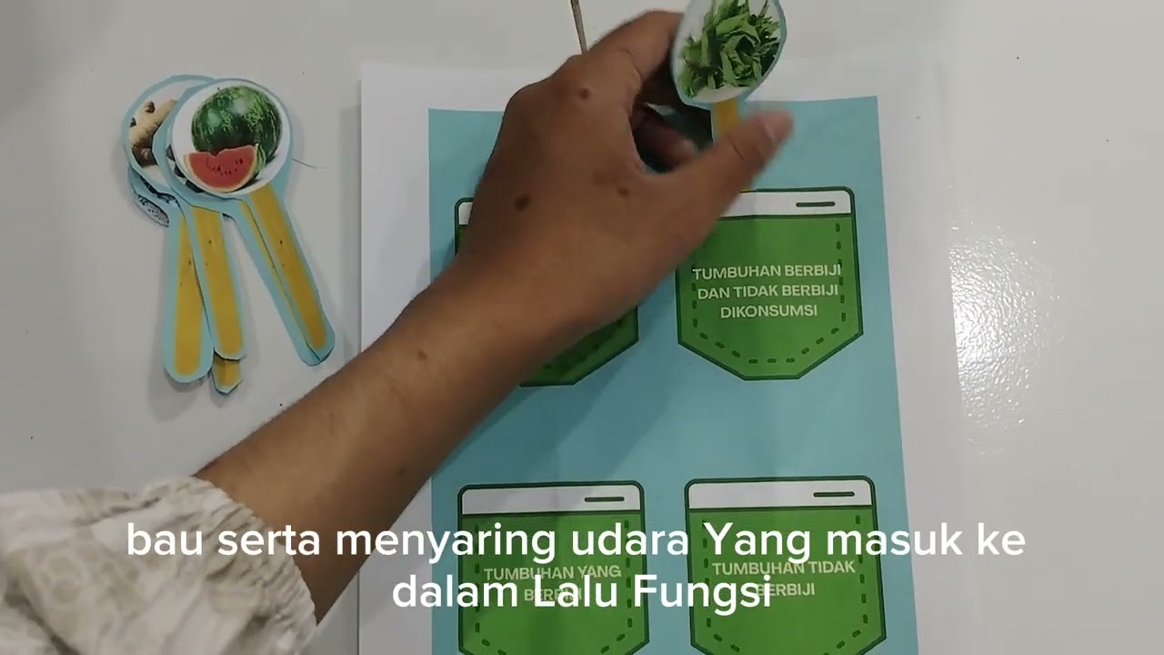 VIDEO PEMBELAJARAN IPAS SIKLUS HIDUP TUMBUHAN (MICROTEACHING)
