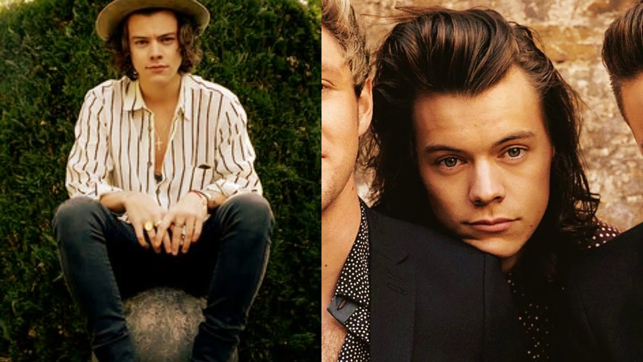 Harry Styles Long Hair