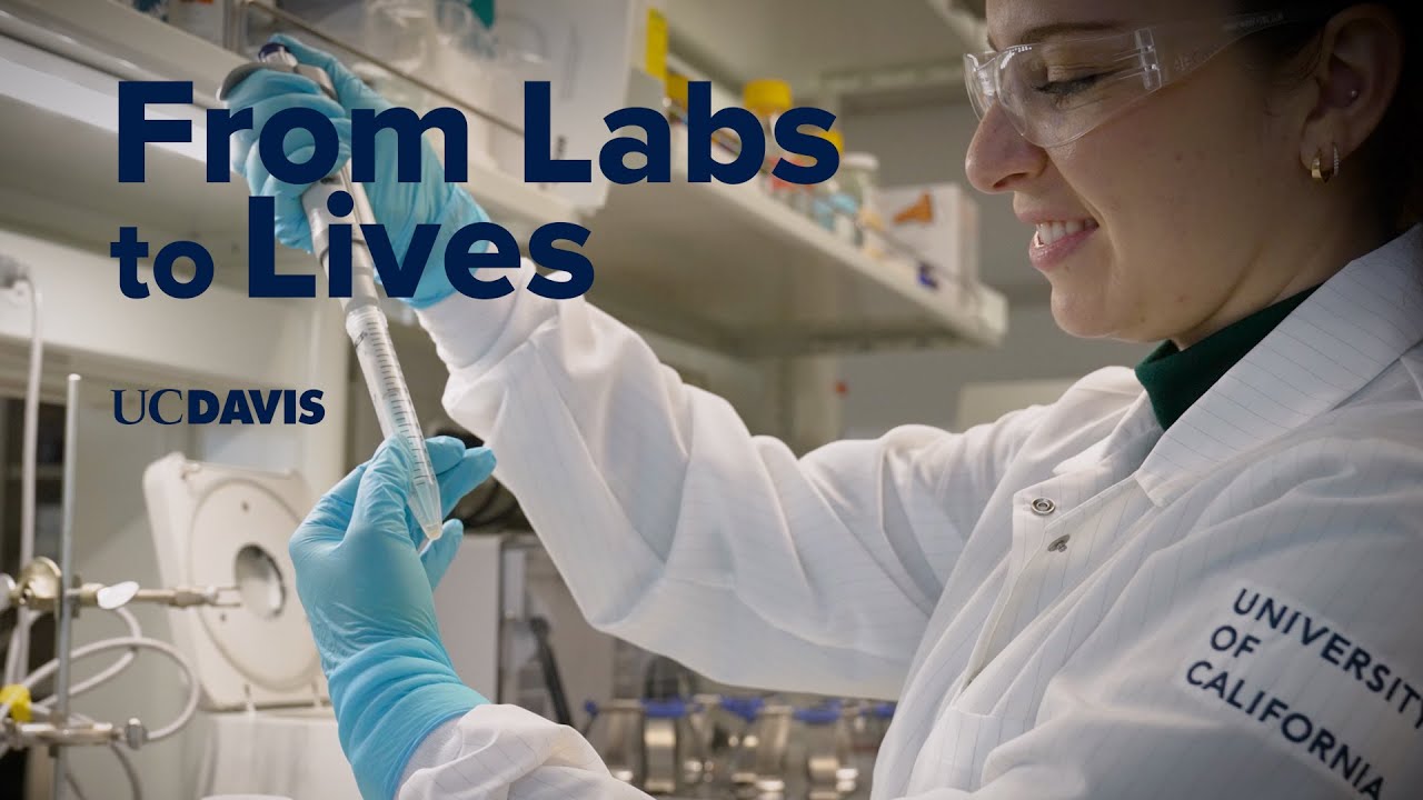 From Labs to Lives: How Research Funding Solves Real-World Problems