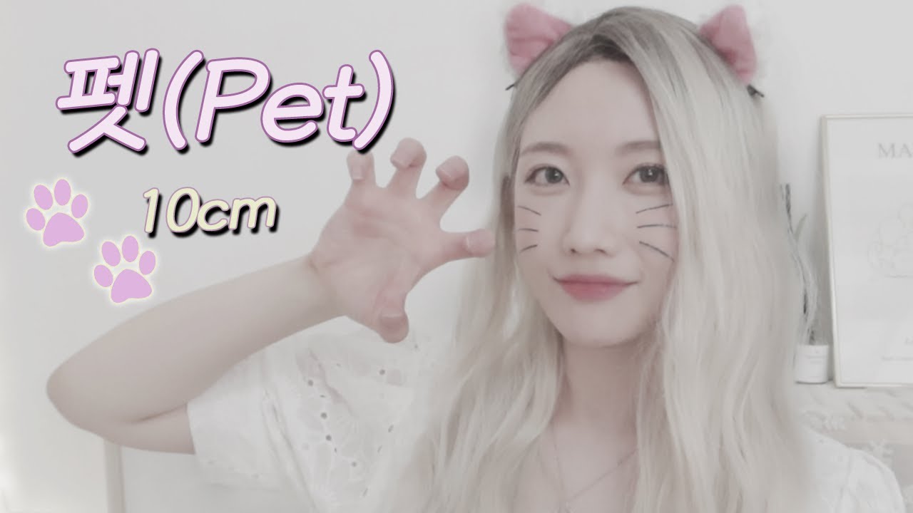 펫 ( Pet ) - 10CM 권정열 (뼝아리)┃( Cover By Ari Peep )