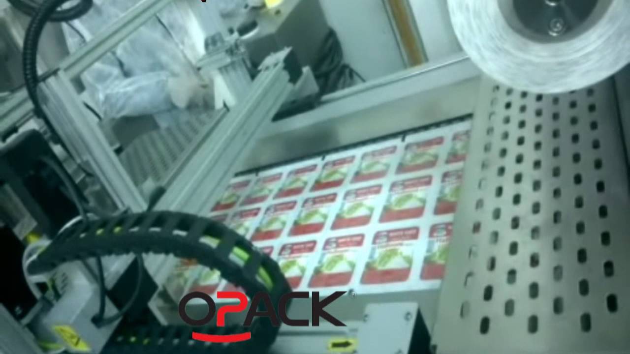 HALLOUMI CHEESE VACUUM THERMOFOR PACKAGING WITH INK-JET PRINTER / OPACK QZ 1000 MAXI