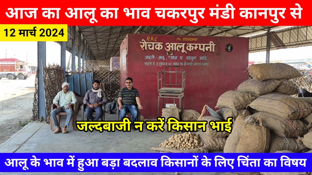 आज का आलू का भाव चकरपुर मंडी कानपुर से आलू के भाव में हुआ बड़ा बदलाव लिए चिंता का विषय Aalu Ka Bhav