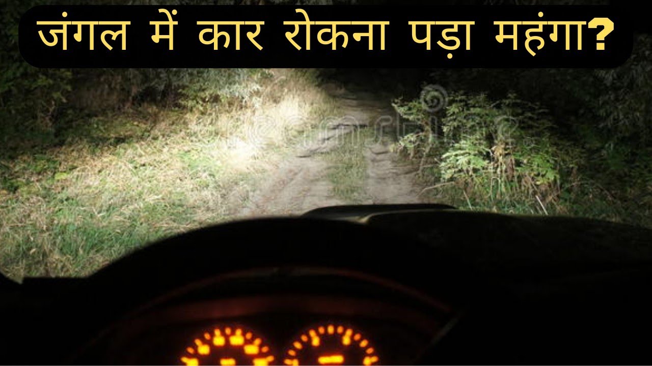जंगल में रोकनी पड़ी गाड़ी😢| Rajasthan deep forest drive | Jungle Adventure #nomadicankit