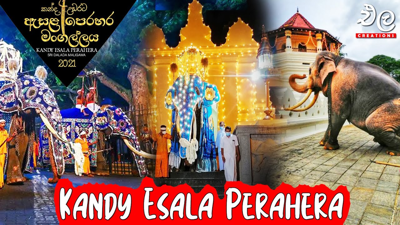පෙරහැර බලන්න ගියත් දකින්න අමාරු දසුන් කීපයක් | Kandy Perahara | Ela Creation